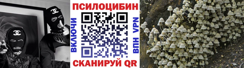 ОМГ ОМГ онион  Очёр  Псилоцибиновые грибы Cubensis 